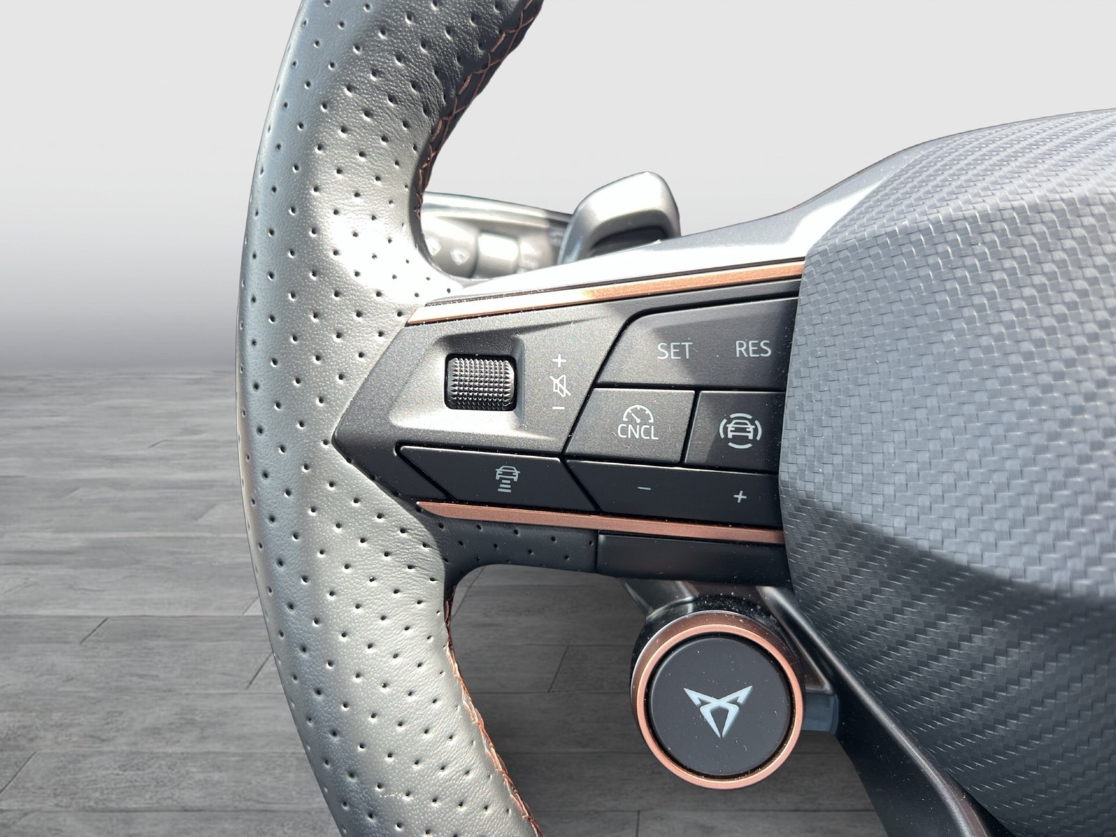 Cupra Terramar 1.5 HYBRID 360°CAM ACC LM18 HEADUP NAVI