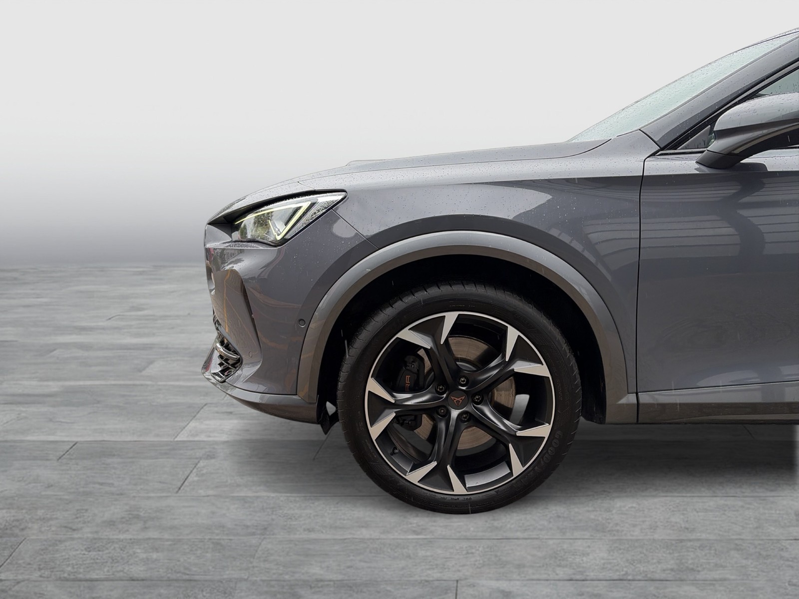 Cupra Formentor 2.0 VZ 4X4 PANO CAM ACC LM19 E-KLAPPE
