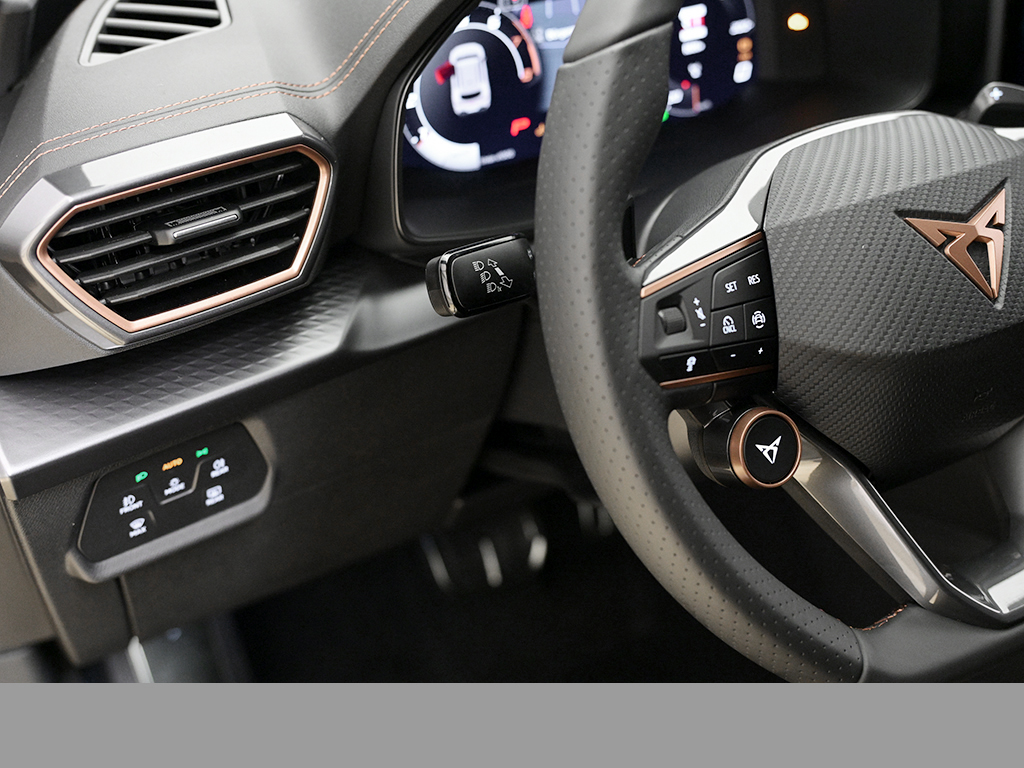 Cupra Formentor 2.0 VZ DSG AHK MATRIXLED SENNHEISER