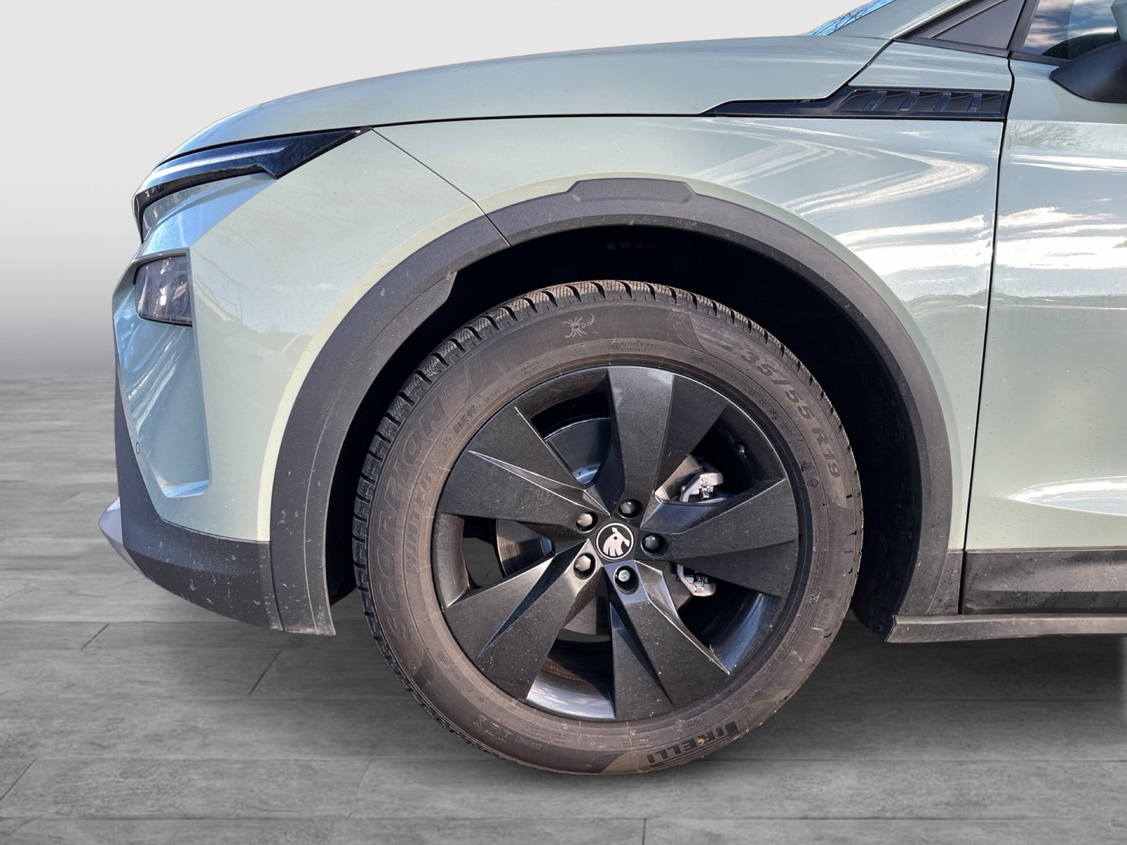 Skoda Elroq 50 STUDIO CAM ACC LM19 NAVI AHK-VORBEREIT.